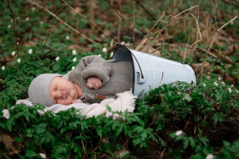 Newborn & Baby Shooting